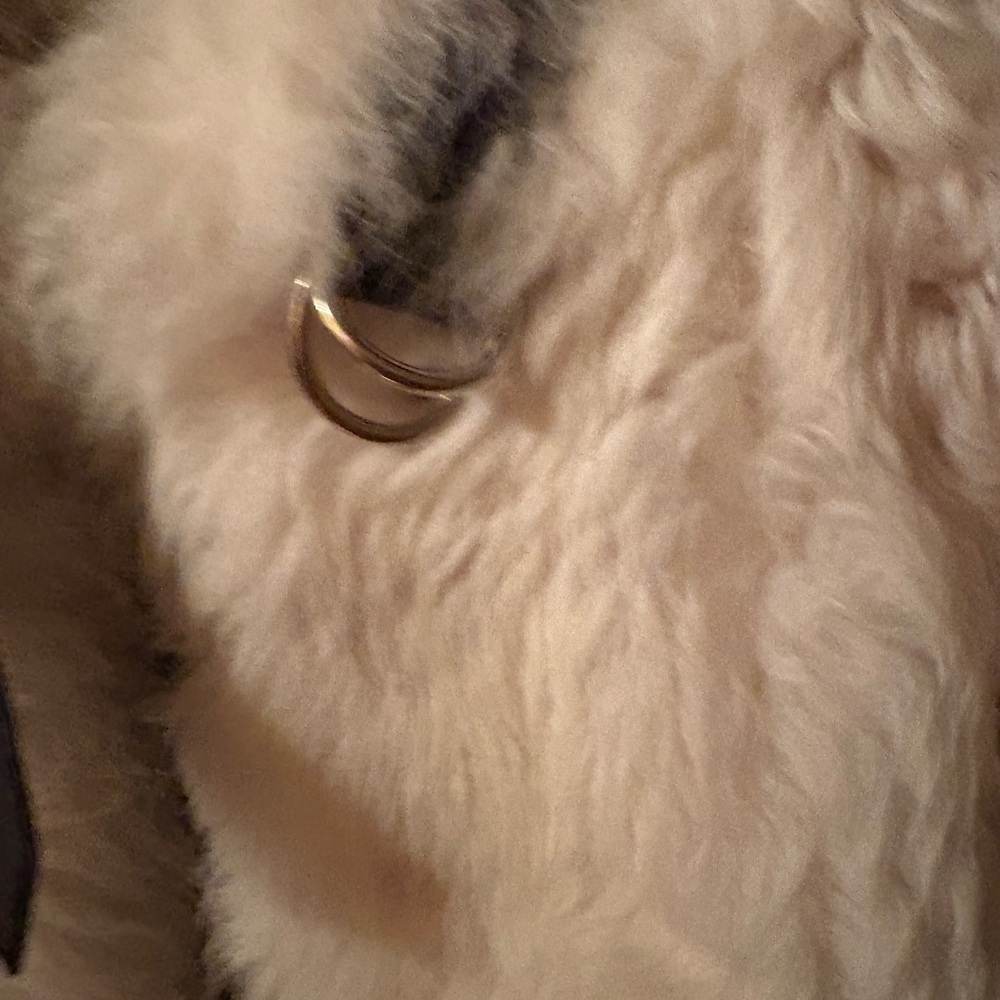 Gucci Shearling Jacket,Fur - Picture 3 of 12